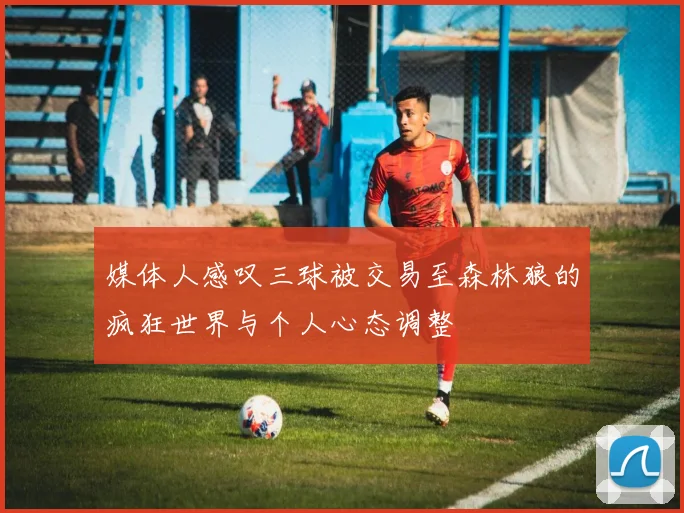 媒体人感叹三球被交易至森林狼的疯狂世界与个人心态调整