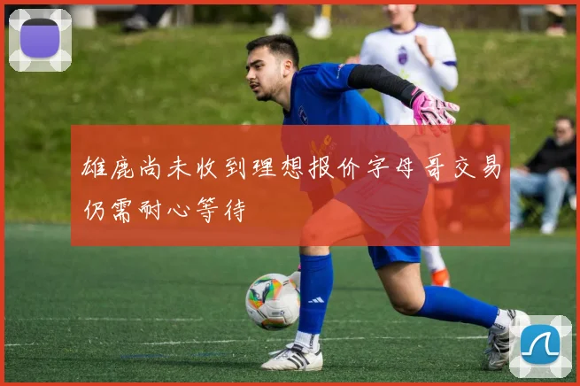 雄鹿尚未收到理想报价字母哥交易仍需耐心等待